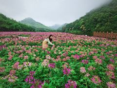 -广州市石门国家森林公园