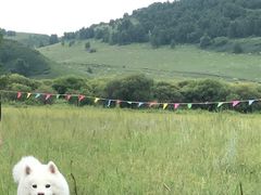 -塞罕坝国家级自然保护区