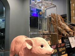 -WHEN PIGS FLY当猪飞