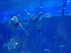 -华夏文旅海洋公园