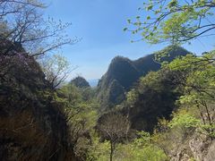 -大连天门山国家森林公园