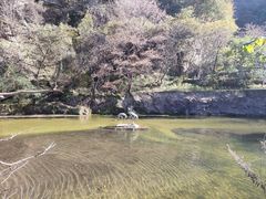 -西安祥峪森林公园