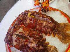 -鲜入围煮花胶鸡海鲜火锅