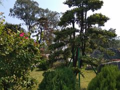 -东莞植物园