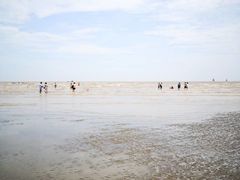 -奉贤海滩
