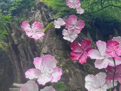 -秦岭终南山世界地质公园翠华山景区