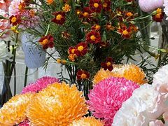 -植物学家的女儿(北马道巷店)