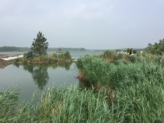 -北药泉