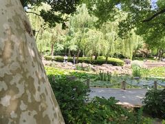 -徐家汇源景区-衡山公园