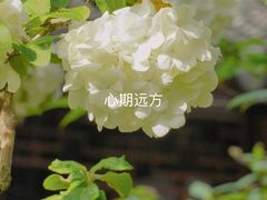 -沧浪亭