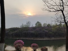 -丁香湖公园