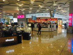 -贾特拉帕蒂·希瓦吉国际机场