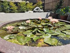 -汉唐驿-唐风美学民宿