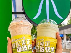 -茉酸奶(春熙路店)