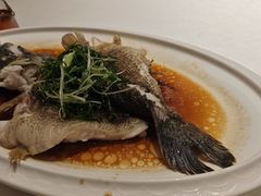 -顺德渔村·岭南一号