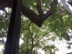 -VOYAGE COFFEE(北锣鼓巷店)