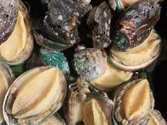 -亚马逊海鲜自助(梅溪湖步步高店)