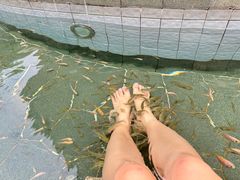 -苏州湾·王焰温泉
