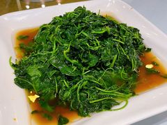-天福苑(崇宁路店)