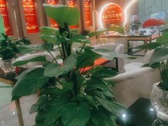 -诗情装饰·家乡的名牌(渝北店)