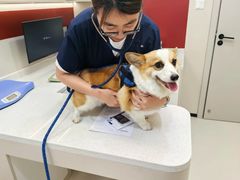 -御宝贝24h宠物医院·转诊中心·CT核磁血透中心(厦门总院)