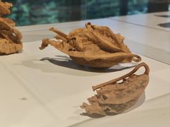 -中国美术学院象山校区-民艺博物馆