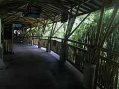 -海口观澜湖火山温泉谷