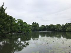 -西湖游船