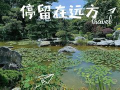 -东莞植物园