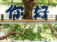 -大连星海广场音乐喷泉
