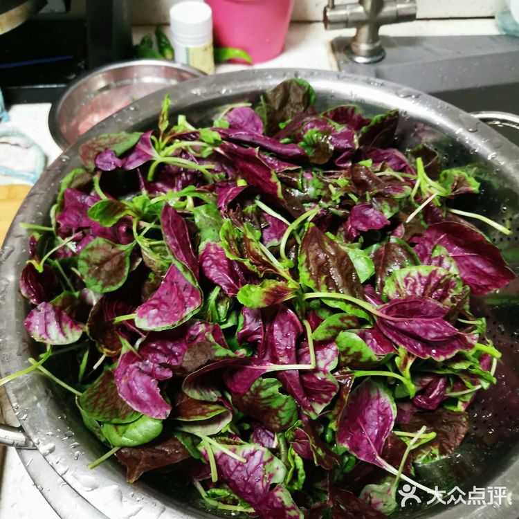 糙女子菜谱之营养健康清热解毒的清炒苋菜