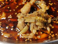 -味之绝热血美蛙鱼火锅(中坝店)