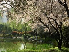 -木塔寺遗址生态公园