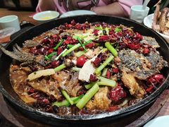 -老板恋上鱼(荣盛广场店)
