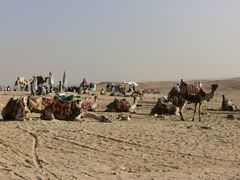 景点-吉萨金字塔群