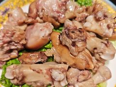 -满园烤鸭·春饼(沈北万达店)
