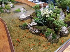 -森味薪火烧•烧鸟居酒屋•日本料理(望京店)