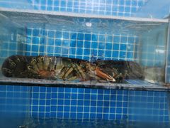 -宾朋海鲜特色美食餐厅·纯手工鲅鱼水饺(兴海路店)