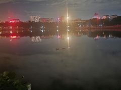 -莲花池公园