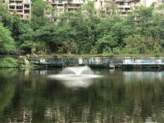 -重庆彩云湖湿地公园