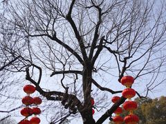 -无锡梅园公园