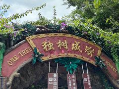 -瑞丽独树成林风景区