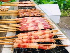 -尚庄度假村·庭台树下·户外烧烤·团建CS·轰趴营地(上庄水库店)