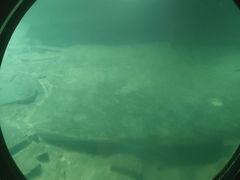 -白鹤梁水下博物馆