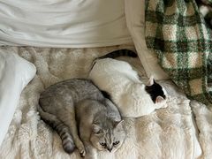 -comecome来吧宠物(奥克斯中心店)