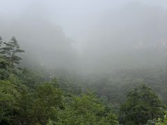 -秦岭天竺山生态文化旅游景区