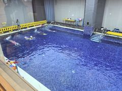 -酷游亲子游泳中心