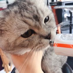 -众刺纹画·纹身·穿孔饰品·海娜定制