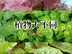 -上海市松江区泗泾医院