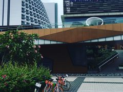 -新加坡文华东方酒店